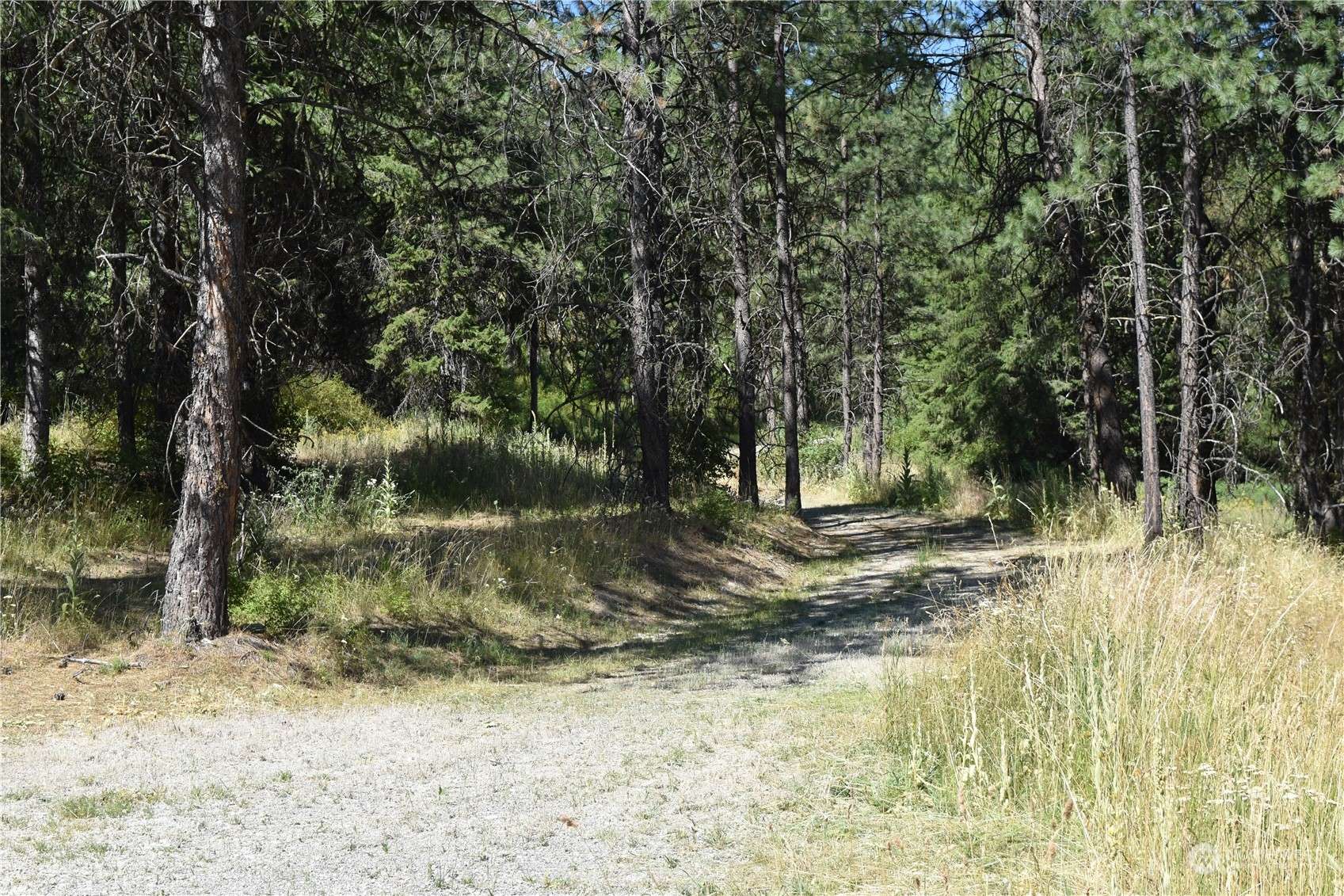 Republic, WA 99166,65 Boulder WAY