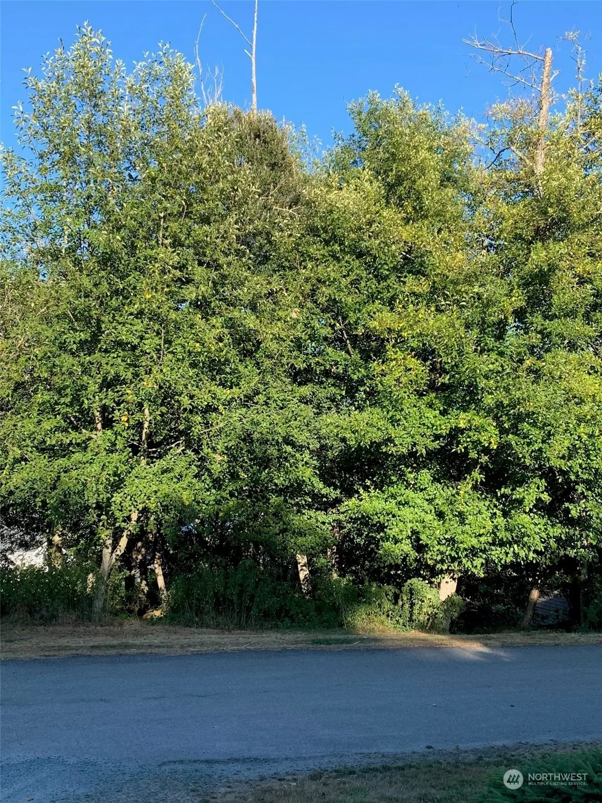 Freeland, WA 98249,0 XXX Brittney DR