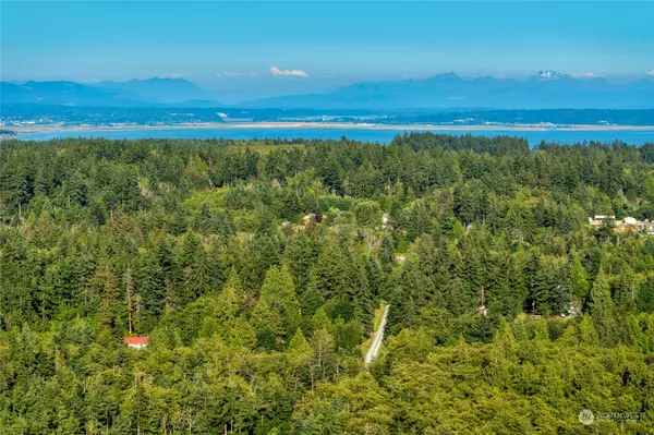 Camano Island, WA 98282,4 XX House PL