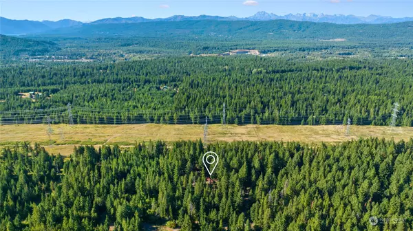 Cle Elum, WA 98922,730 Tall Pines DR