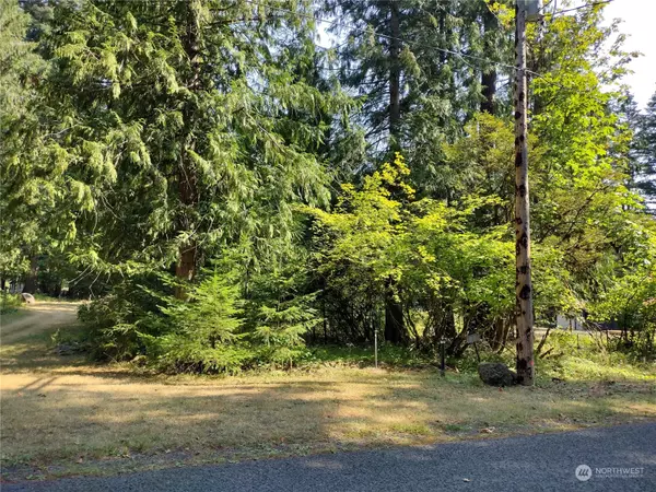 0 Lot 6 Crescent Beach DR, Packwood, WA 98361