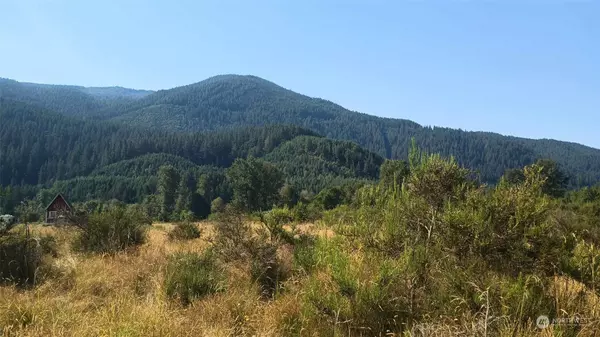 Randle, WA 98377,0 Lot B9C Lone Tree RD