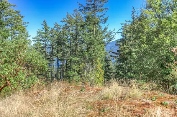 Orcas Island, WA 98245,249 Osprey LN