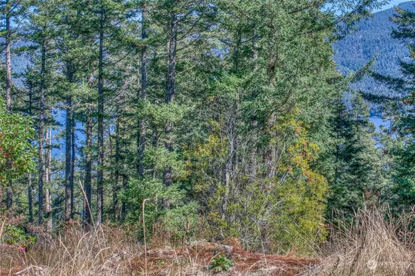 Orcas Island, WA 98245,249 Osprey LN