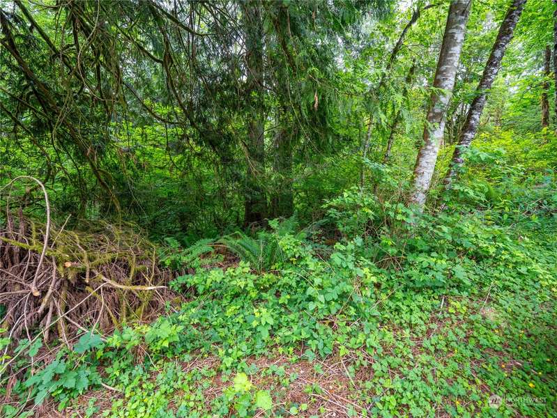 8 Lot 125 AVE NE, Arlington, WA 98223