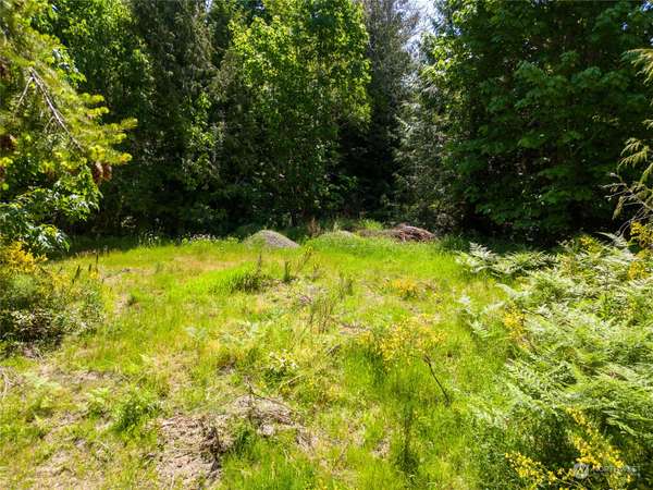 780 N Bagley Creek RD, Port Angeles, WA 98362
