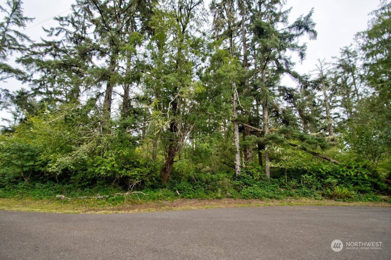 843 Chaco CT SE, Ocean Shores, WA 98569