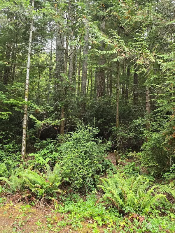 Lilliwaup, WA 98555,41 N Paradise Drive
