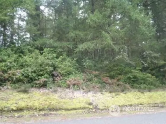 11615 Yoman RD, Anderson Island, WA 98303