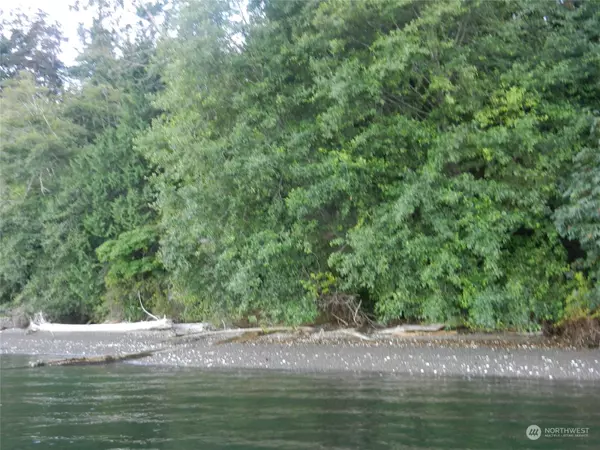 9999 Harrington DR, Quilcene, WA 98376