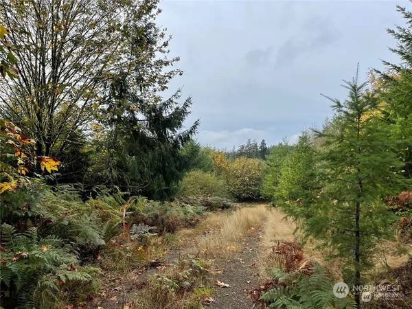 30 Acres Glenwood RD SW, Port Orchard, WA 98367