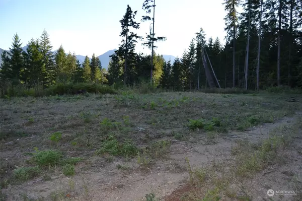 0 S Skate Creek Rd. #Lot 1, Packwood, WA 98361