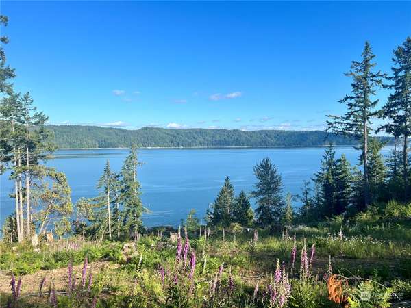 93 Sunrise Ridge LOOP, Hoodsport, WA 98548