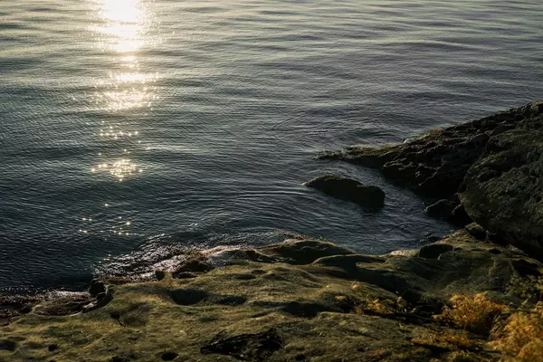 Bellingham, WA 98229,291 Arbel WAY