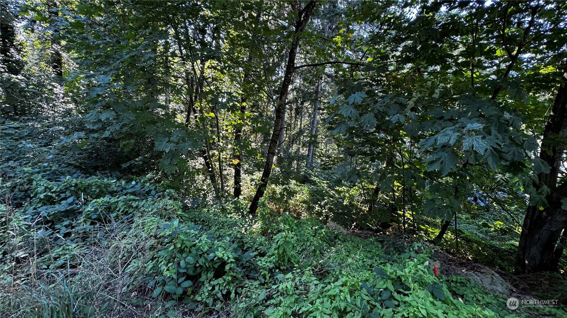 14055 169th AVE SE, Renton, WA 98059