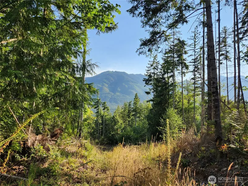 0 Rocky Brook Road RD #Lot I, Brinnon, WA 98320