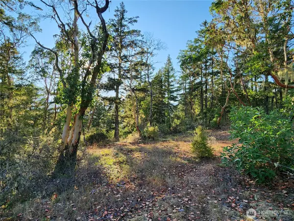 Brinnon, WA 98320,0 Rocky Brook RD #Lot J