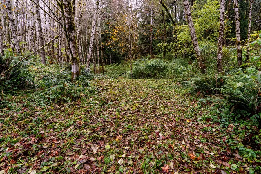 0 XXX Wynooche Valley RD, Montesano, WA 98563