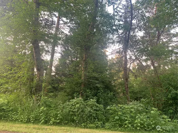 Port Hadlock, WA 98339,0 Lylus LN
