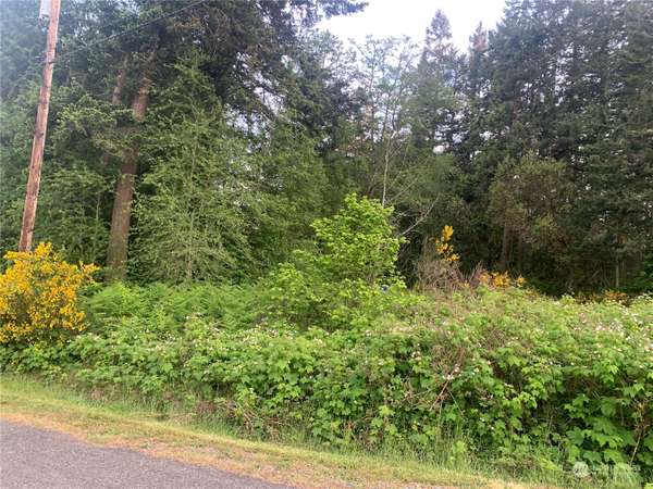 0 Lylus LN, Port Hadlock, WA 98339