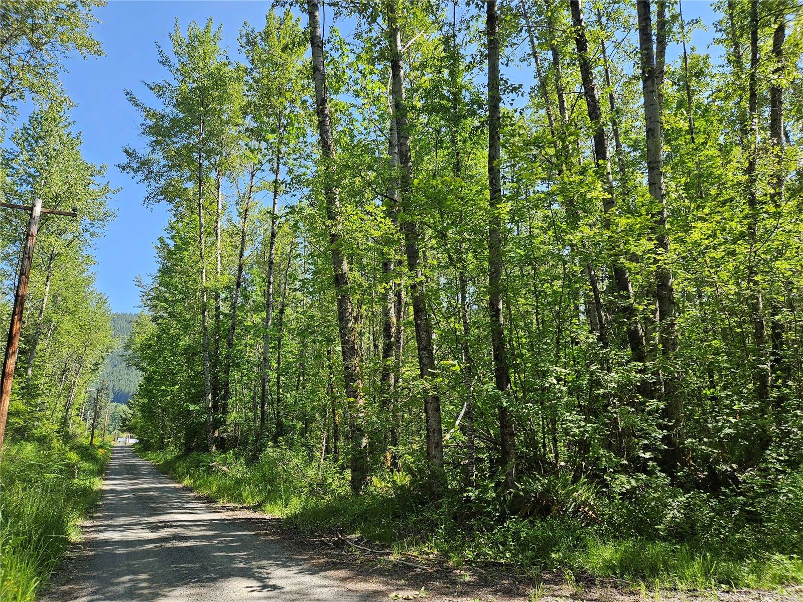 Elbe, WA 98330,0 Park Junction RD E