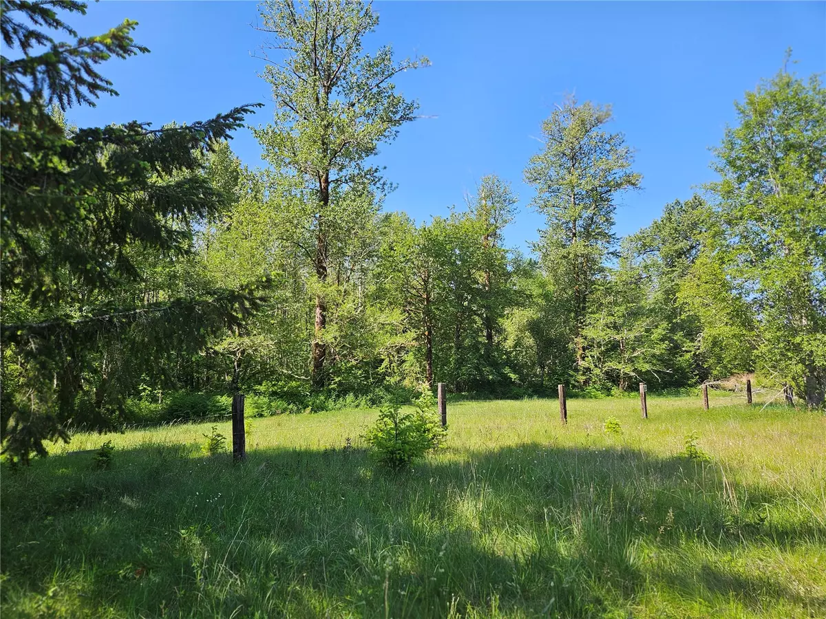 Elbe, WA 98330,0 Park Junction RD E