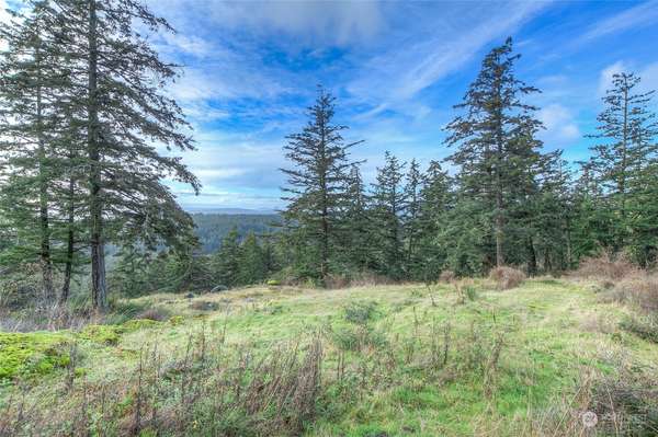 0 2 NW Rustic Homestead LN, Orcas Island, WA 98280