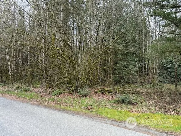 0 Tokul Road SE SE, Snoqualmie, WA 98065