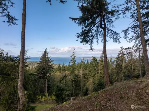 540 Wright RD, Orcas Island, WA 98245