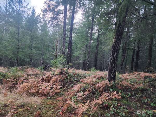 110 Ridge LN, Packwood, WA 98361