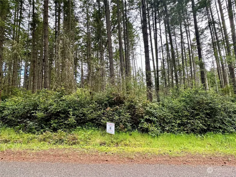 12020 Yoman RD, Anderson Island, WA 98303