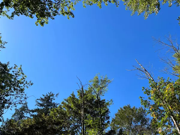 Tacoma, WA 98404,7704 E Golden Given Rd E