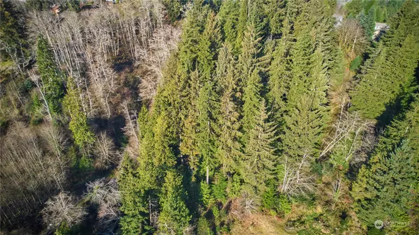 Aberdeen, WA 98520,0 Blk 13 Lots 1-2 Pioneer BLVD