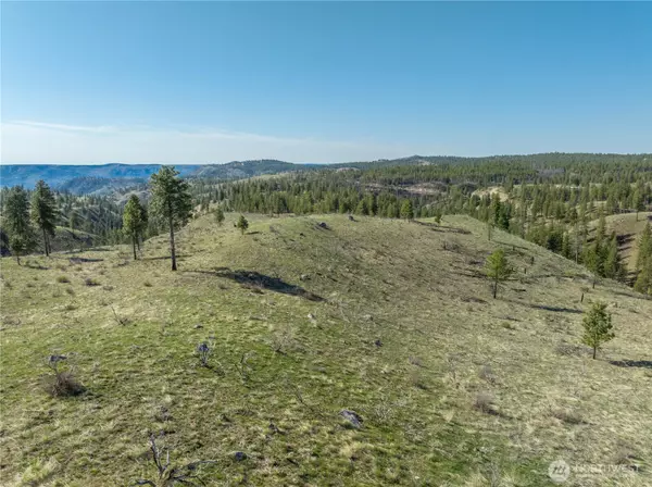 Chelan, WA 98816,1 Bramble LN