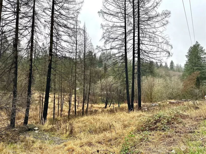 36803 NW Jenny Creek RD, La Center, WA 98629