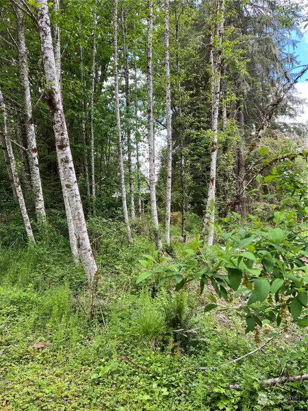 16024 Low Lane, Deming, WA 98244