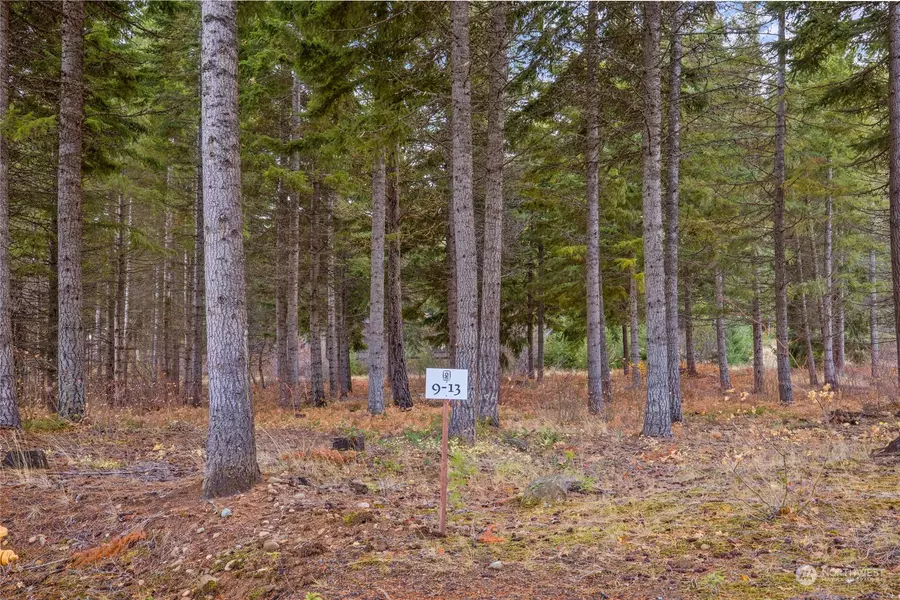 230 Goat Creek LN, Cle Elum, WA 98922