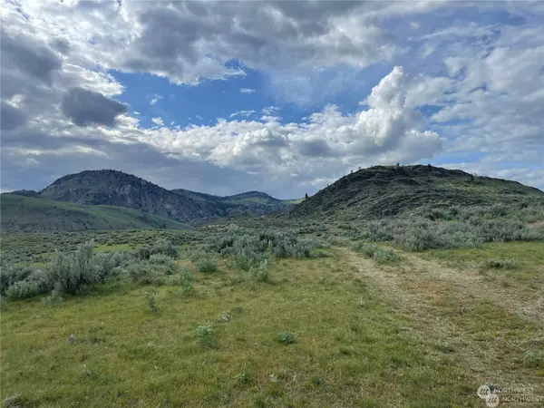 3 Hope Springs Trail, Okanogan, WA 98840