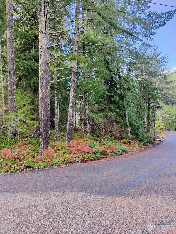 Packwood, WA 98361,78 Fir Park LN