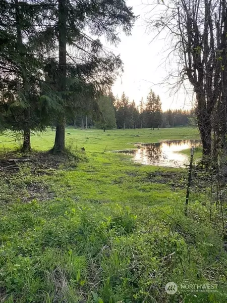 36514 48th AVE S, Roy, WA 98580