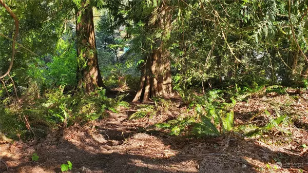Sedro Woolley, WA 98284,750 West RD