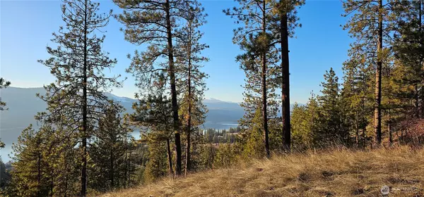 Rice, WA 99167,0 34XX Daisy Mine RD