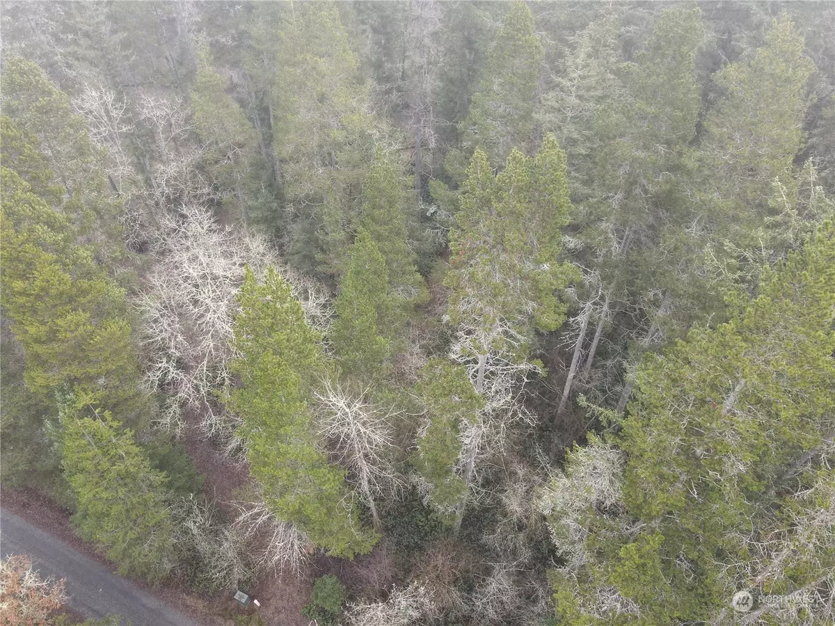 Toledo, WA 98591,0 Pine Tree RD