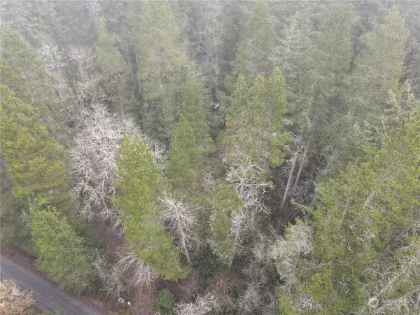 0 Pine Tree RD, Toledo, WA 98591
