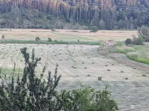 0 Lincoln Creek RD, Centralia, WA 98531