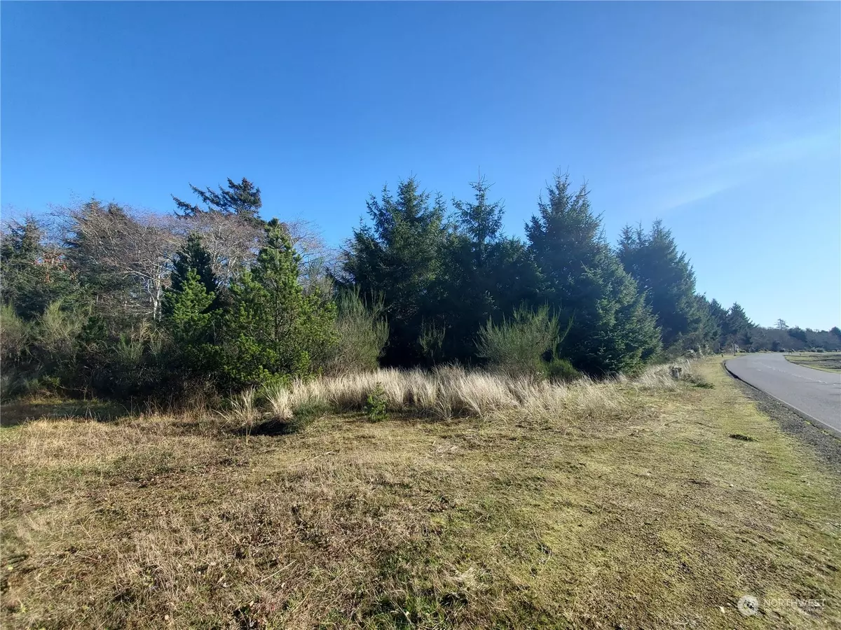 Ocean Shores, WA 98569,620 E Chance a la mer NE
