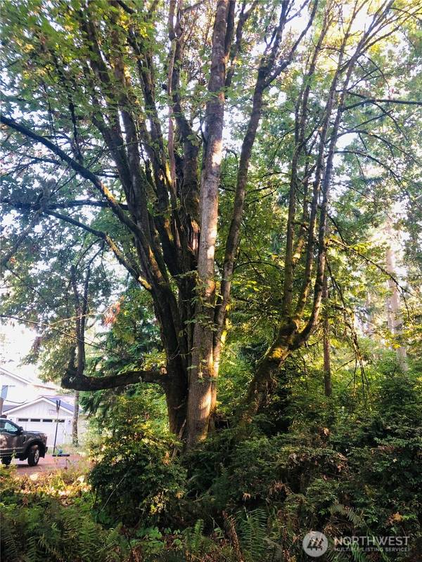 10415 107th street CT, Anderson Island, WA 98303