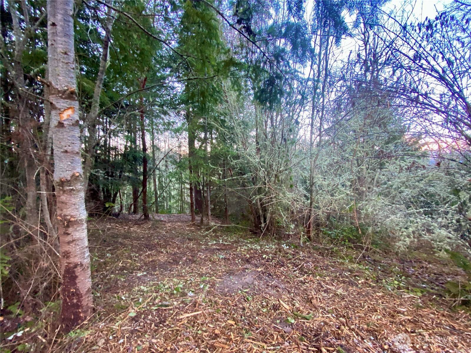 Sequim, WA 98382,0 Chelsamish DR