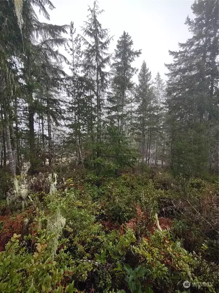 70 E Arellem, Union, WA 98592