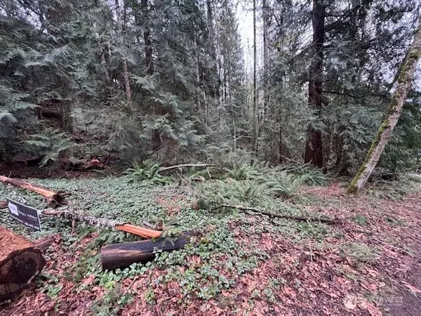 Sammamish, WA 98074,0 207th PL NE